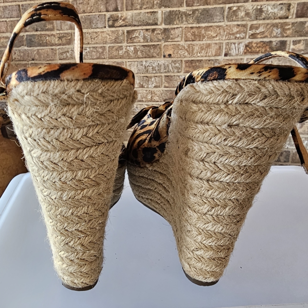 Fun Wedges - Picture 4 of 4